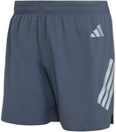 adidas Adi365 Running Formotion Iconic Laufshorts Herren KR3066 - onix/reflective