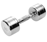 TRENDY SPORT Pesos Chrom Hantel 5 KG