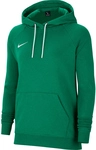 NIKE Park 20 Fleece Hoodie Damen pine green/white/white XS