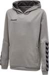 hummel Authentic Polyester Hoodie Kinder grey melange 116