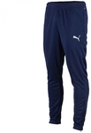 PUMA teamRISE Trainingshose Herren peacoat/puma white XL