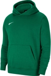 NIKE Park 20 Fleece Hoodie Kinder pine green/white M (137-147 cm)
