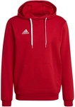 adidas Entrada 22 Hoodie Herren tepore M