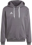 adidas Entrada 22 Hoodie Herren tegrfo L