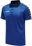 hummel Authentic Funktions-Poloshirt Herren true blue S
