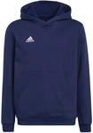 adidas Entrada 22 Hoodie Kinder tenabl 140