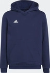 adidas performance H57517, adidas performance adidas Entrada 22 Hoodie Kinder tenabl