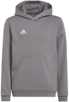 adidas Entrada 22 Hoodie Kinder tegrfo 116