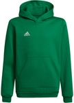 adidas Entrada 22 Hoodie Kinder HI2143 - team green/white 152