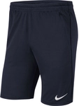 NIKE Park 20 Dri-FIT Knit Coach/Travel Shorts Herren obsidian/obsidian/white XXL