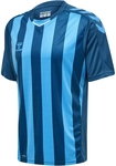 hummel Core XK Striped gestreiftes Trikot Herren blue coral/blue danube XXL