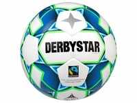Derbystar 3241060000, DERBYSTAR Protect Schienbeinschoner türkis/schwarz/rot XL