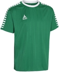 Select Argentina Trikot Gr&uuml;n/Wei&szlig; XXL