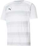 PUMA teamVISION Trikot Herren PUMA white/glaciergray/black 3XL