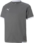 PUMA teamLIGA Trikot Kinder smoked pearl/puma white 116