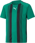 PUMA teamLIGA Striped Trikot Kinder pepper green/black/white 152