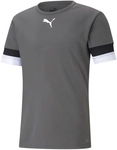 PUMA teamRISE Trikot Herren 13 - smoked pearl/puma black/puma white M