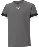 PUMA teamRISE Trikot Kinder smoked pearl/black/white 116
