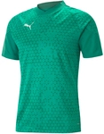 PUMA teamCUP Trainingsshirt Herren 05 - pepper green S