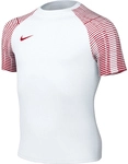 NIKE Academy Dri-FIT Fu&szlig;balltrikot Kinder white/university red/university red S