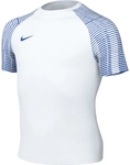 NIKE Academy Dri-FIT Fu&szlig;balltrikot Kinder white/royal blue/royal blue S...