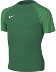 NIKE Academy Dri-FIT Fu&szlig;balltrikot Kinder pine green/hyper verde/white XL...