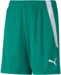 PUMA teamLIGA Shorts Kinder pepper green/puma white 116