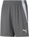 PUMA teamLIGA Shorts Kinder smoked pearl/puma white 116