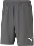 PUMA teamRISE Shorts Herren smoked pearl/puma white XXL