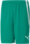 PUMA teamLIGA Shorts Herren 05 - pepper green/puma white S