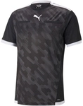 PUMA teamLIGA Schiedsrichtertrikot Herren PUMA black/PUMA white S