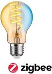 PAULMANN LED-Leuchtmittel "Smart Filament AGL 600lm 2200K-5500K gold 230V",