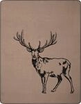 Wohndecke BIEDERLACK "Deer", grau (braun, anthrazit), B:150cm L:200cm, Baumwolle,
