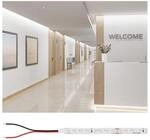 PAULMANN LED-Streifen "Pro Strip Gold P75 5m 940 IP20 24V DC 30W", wei&szlig;,