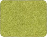 Fu&szlig;matte ASTRA "Saugstark 601" Gr. 15, gr&uuml;n, B:60cm H:9mm L:75cm, Baumwolle,
