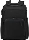 Laptoprucksack SAMSONITE "EVOSIGHT", Gr. B/H/T: 30cm x 43cm x 18cm, schwarz,