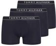 Trunk "3P TRUNK DTM", Herren, Gr. S (48), 3 Stk., blau (des sky, des sky, des sky),