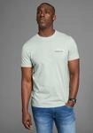 T-Shirt DELMAO, Herren, Gr. XXL (60/62), gr&uuml;n (lindgr&uuml;n), Single Jersey,