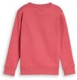 Sweatshirt TOM TAILOR, Jungen, Gr. 92/98, pink (berry rot), Sweatware,...