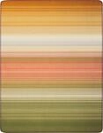 Wohndecke BIEDERLACK "Wohndecke Woodland", bunt, B:150cm L:200cm, Baumwolle,