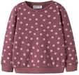 Sweatshirt NAME IT "NMFDAVINA LS SWEAT FLEECE BRU NOOS", M&auml;dchen, Gr. 80, braun