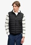 Steppweste SUPERDRY "FUJI LITE PADDED GILET", Herren, Gr. S, schwarz, Web,