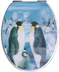 WC-Sitz ADOB "Fresh", bunt, B:37cm L:46cm, MDF - Mitteldichte Holzfaserplatte,