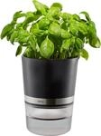 Kr&auml;utertopf GEFU "Botanico", schwarz, B:14,3cm H:18,5cm &Oslash;:14,3cm, Edelstahl,