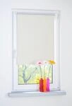 Seitenzugrollo LIEDECO Gr. 6, beige (creme), B:90cm H:150cm, Polyester, Rollos,