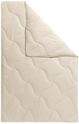 Naturfaserbettdecke FAN "TENCEL&trade; Leinen", beige (creme), B:135cm L:200cm, Bezug: