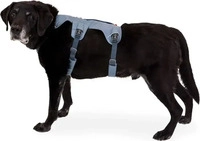 Ruffwear Hundegeschirr Web Master basalt gray, Gr. L/XL, Brustumfang: ca. 81 - 107 cm