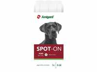 Amigard Spot-On Anti-Parasit Hund, 3 x 6 ml, Grundpreis: &euro; 6,97 / 1