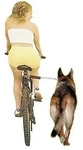 fehlt Fahrradhalter Go for a walk