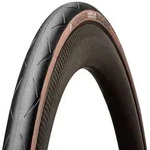 HUTCHINSON Reifen Blackbird TLR 28" | 700 x 26C schwarz / tan